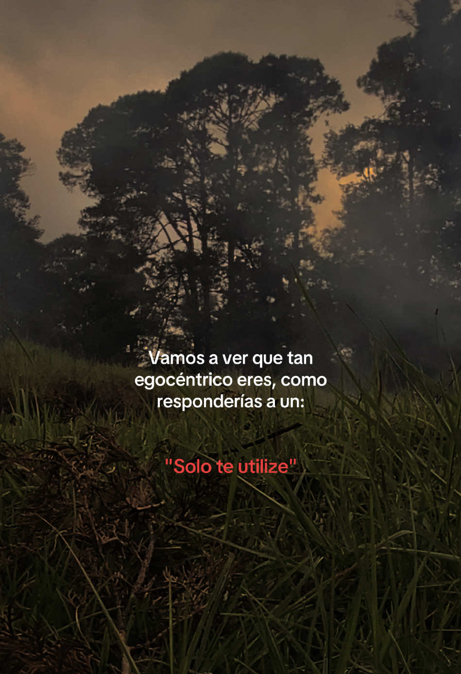 @markitos_mb1