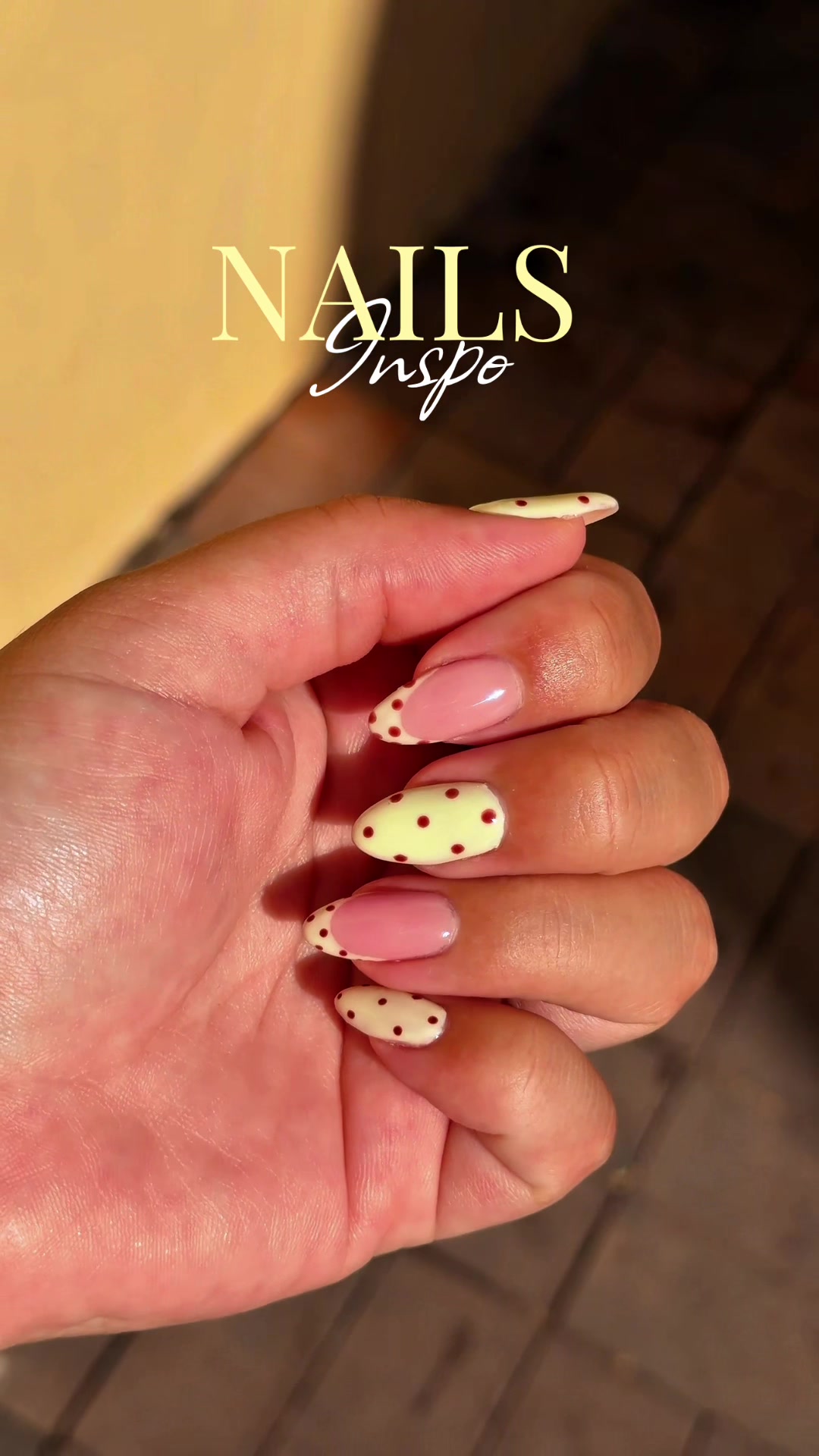 @Franchuu🦋✨