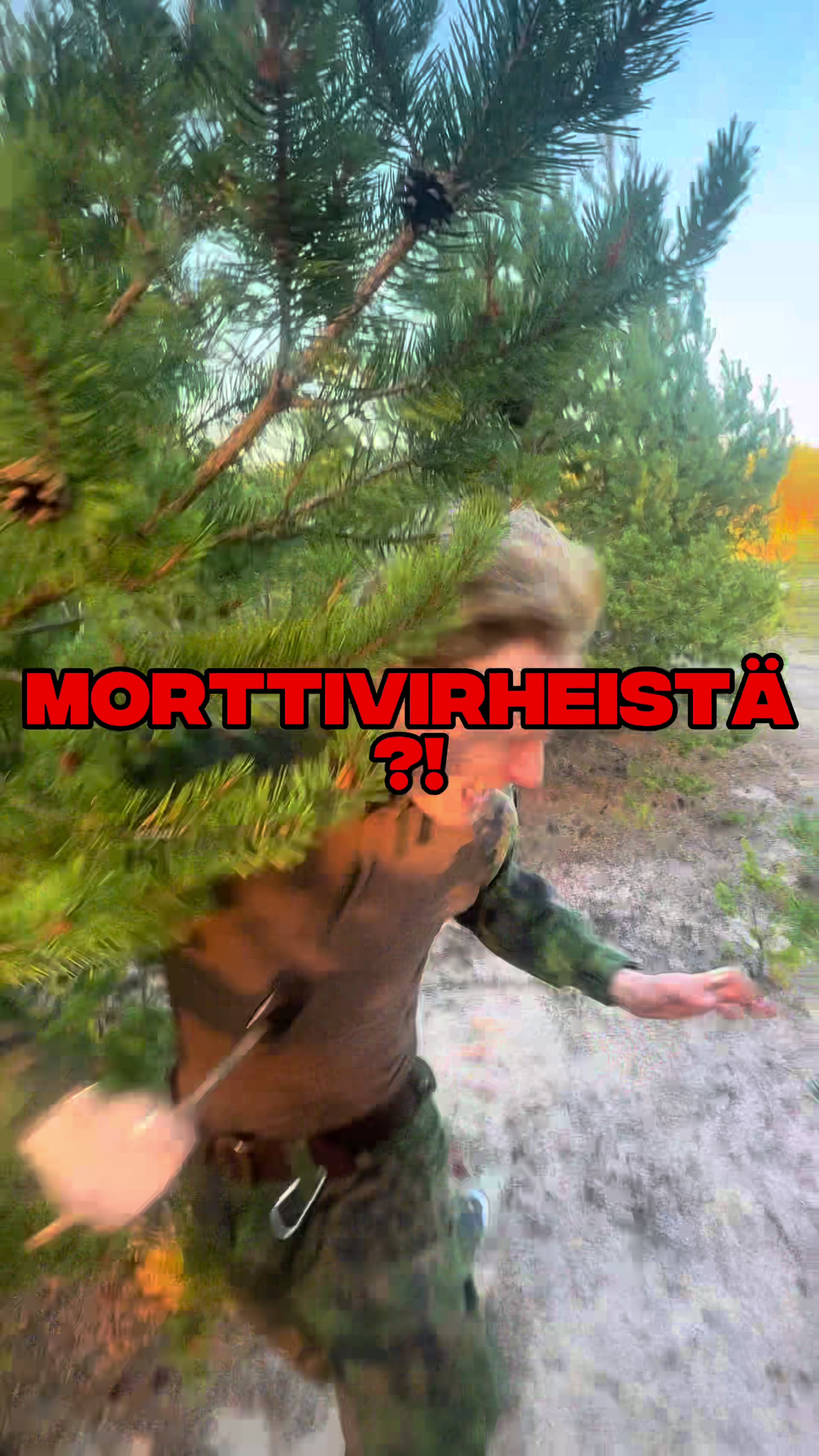 @inttikortti.fi