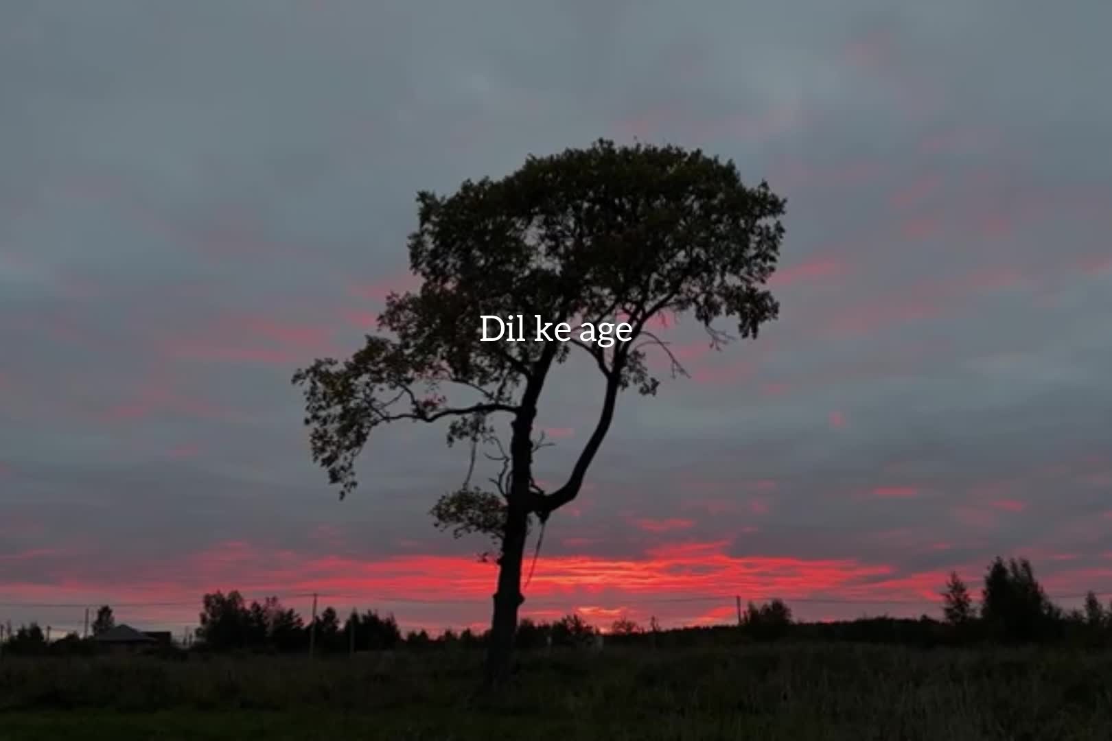 @احمد ؟