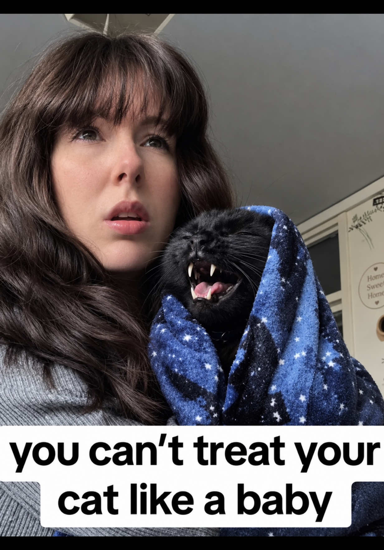 @Teefie_tribe 🐈⬛🐈⬛🐈🦷🦷