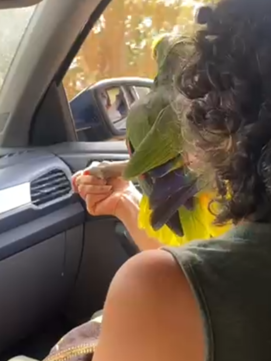 @EdgaEme