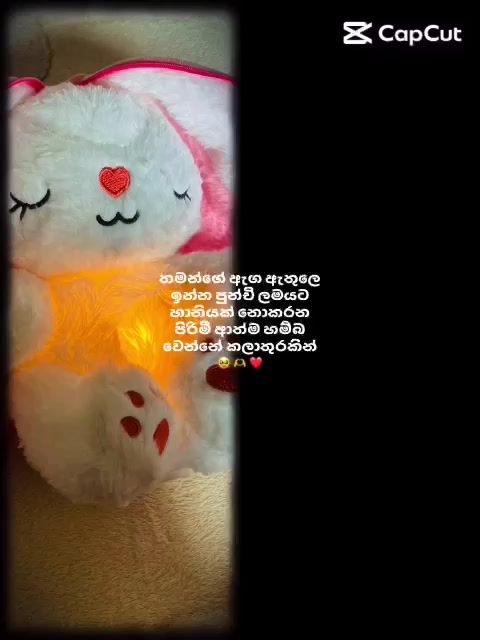 @🌹🤍Chuti & chandu 🌹🤍