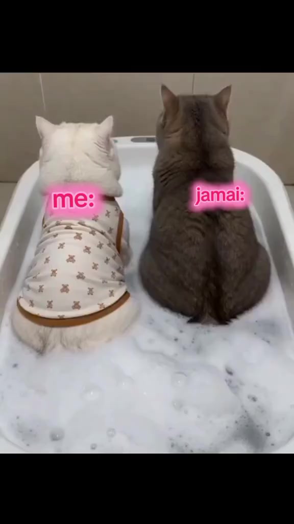 @꧁༒𝗗𝗼𝗿𝗮༒꧂