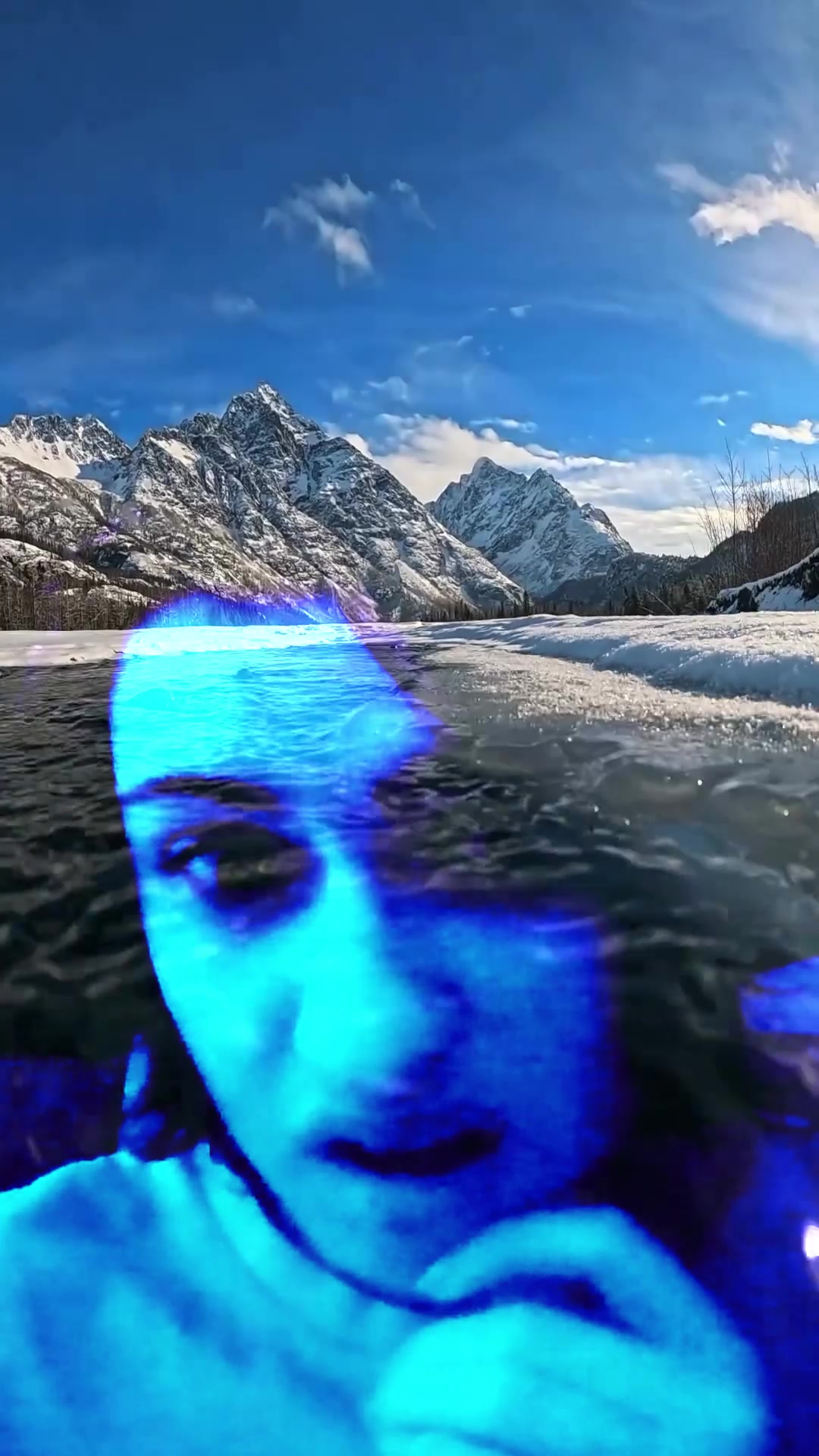 @hauntedsharkaccident