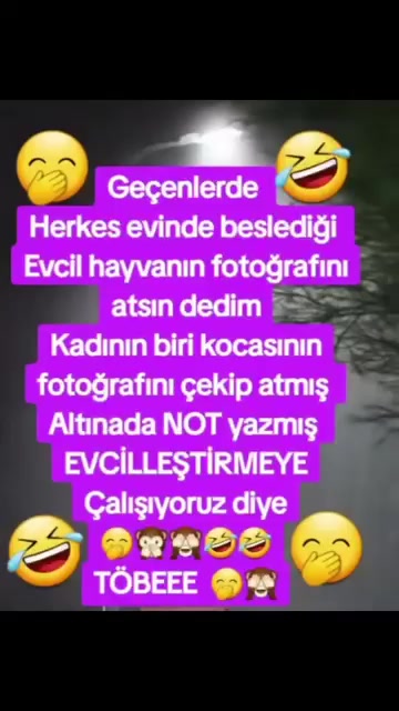 @imdat doğan