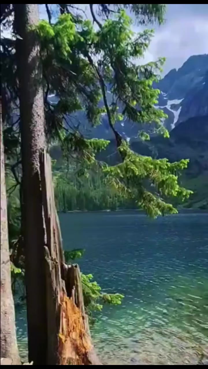 @FARHAN AZAD RAJA