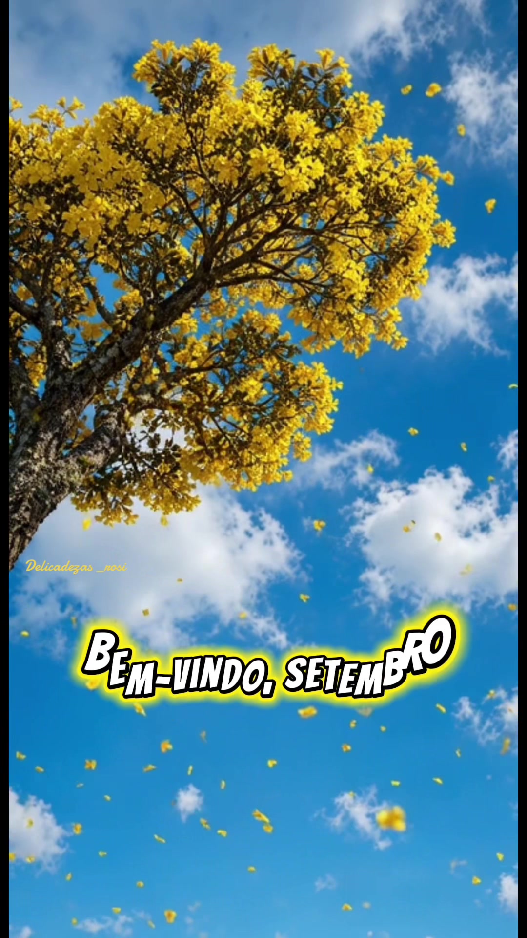 @Rosi frases