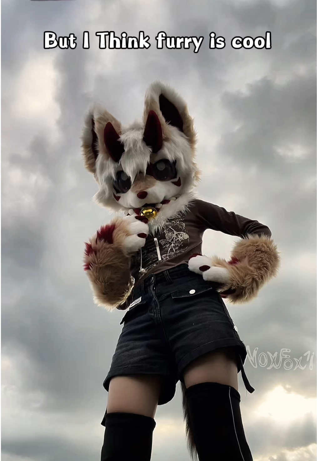 @NoxFox💫