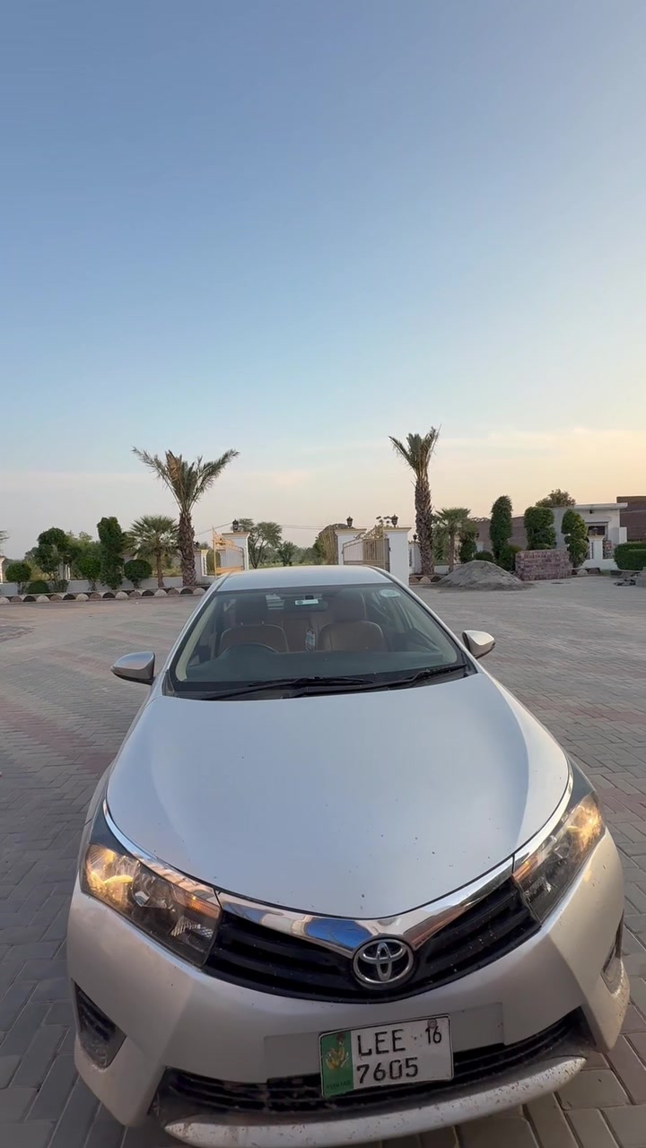@Mani چودھری ⚜️