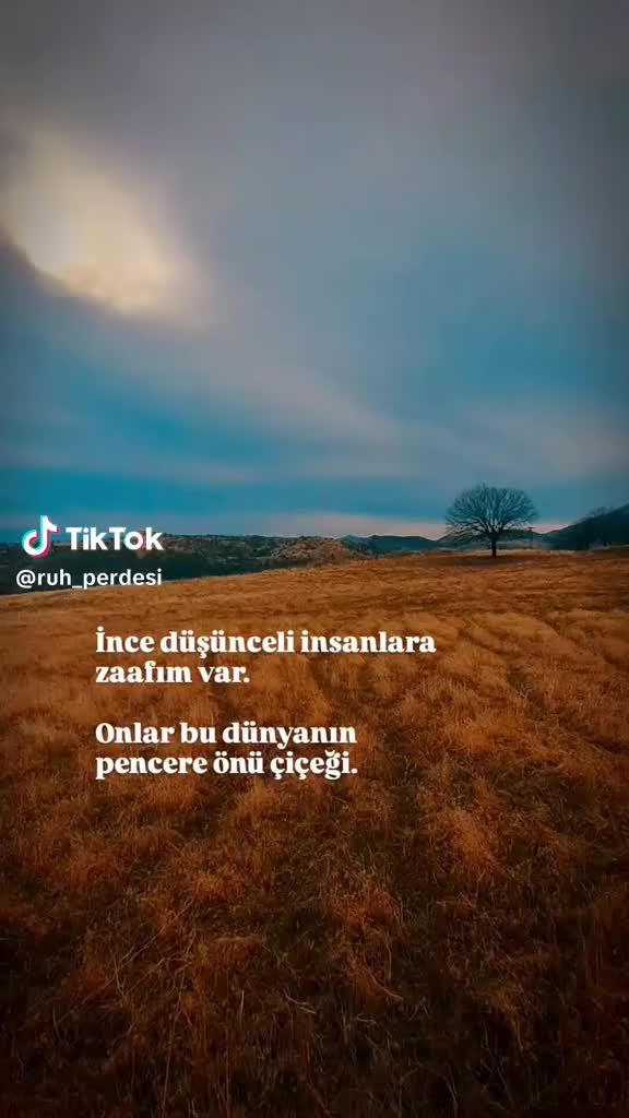 @Derin