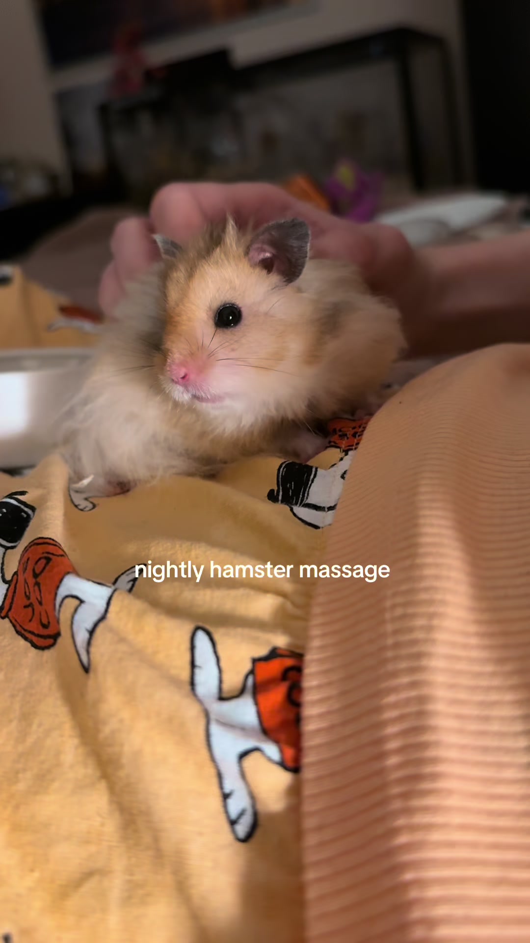 @hamsterwlw