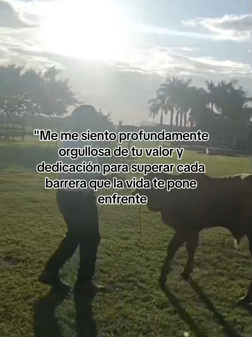 @💐FLOR UITZIL 💗