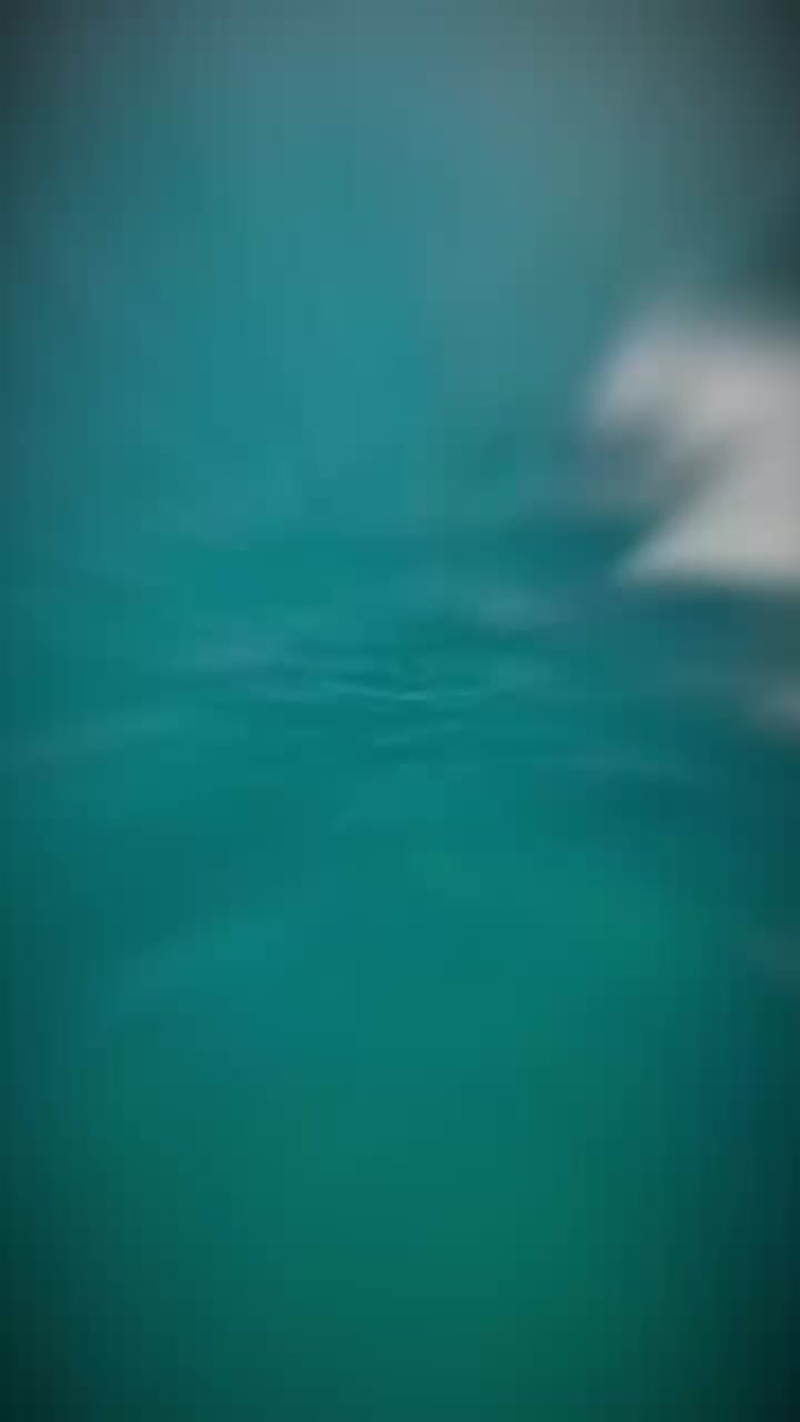 @SuswametVinnny