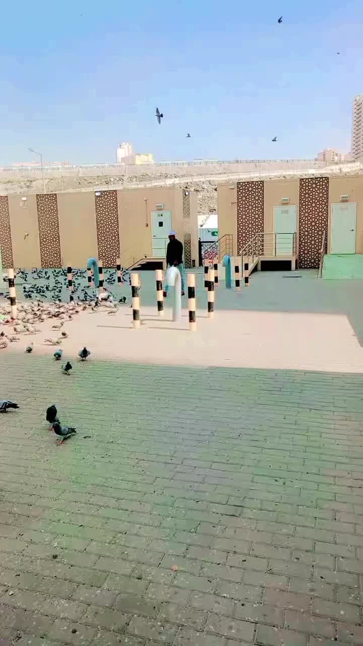 @sanju 🇮🇳