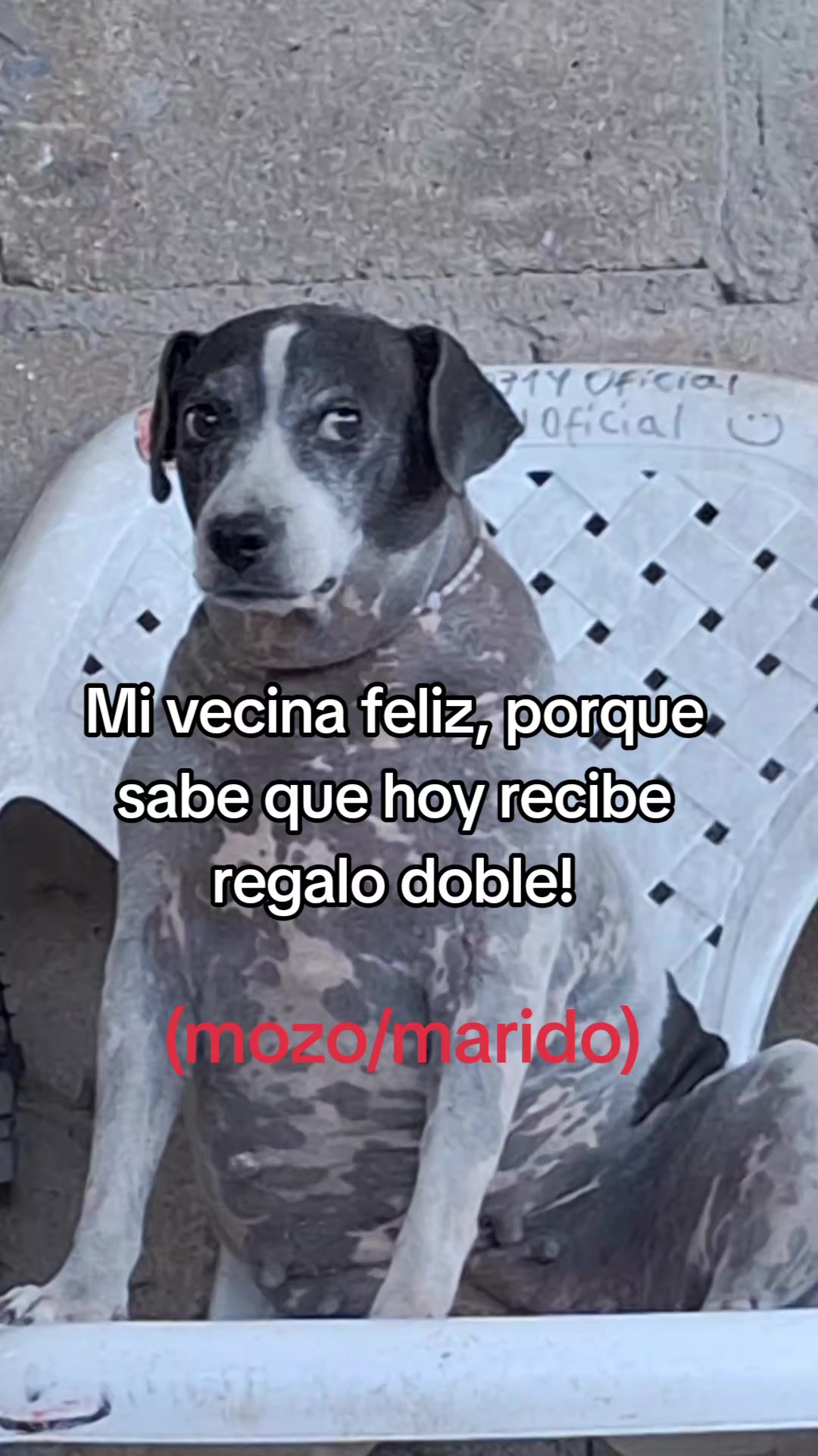 @MANCHAS 0714 OFICIAL