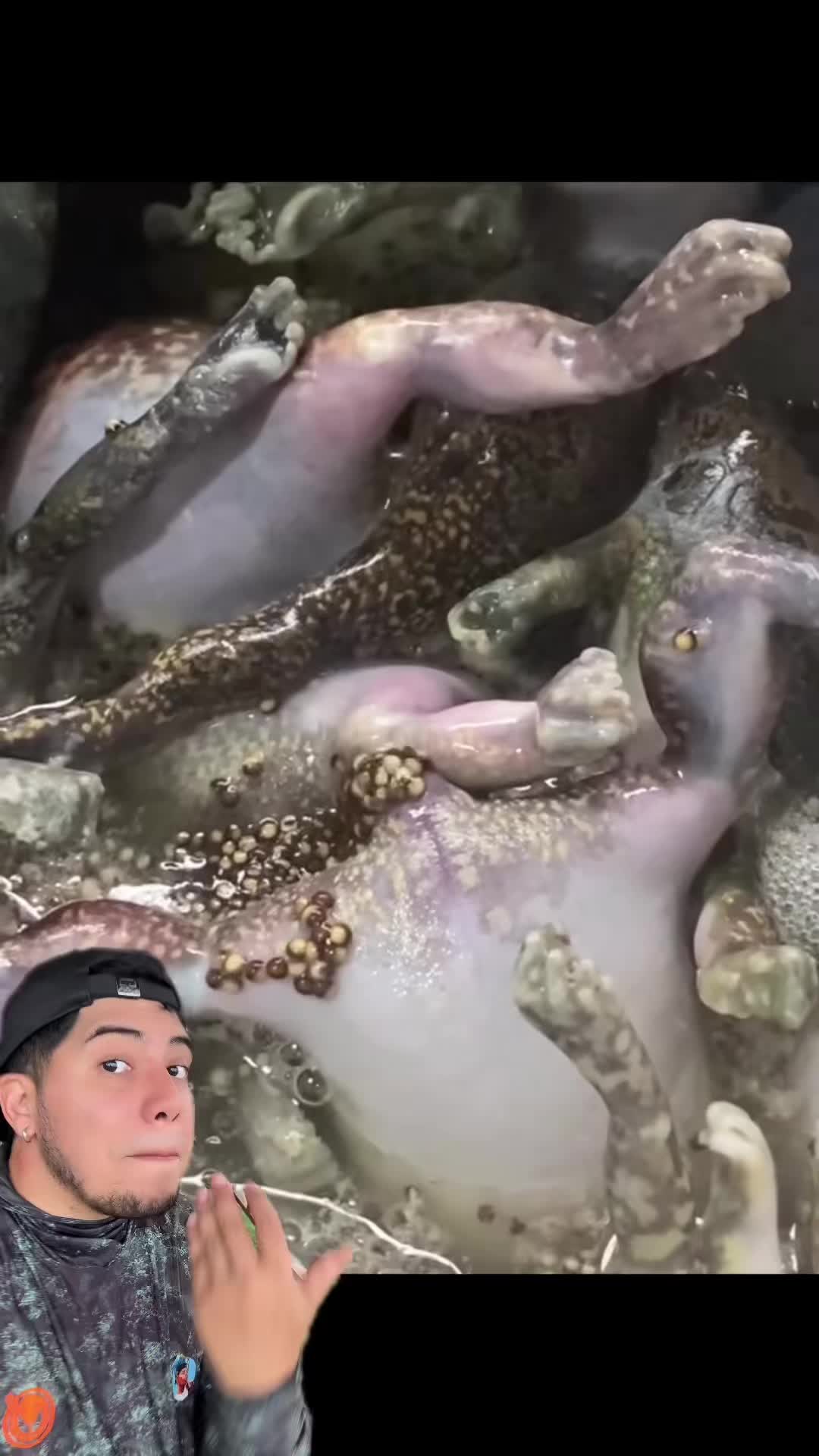 @Soy Sebassalvaje (d&uacute;os)