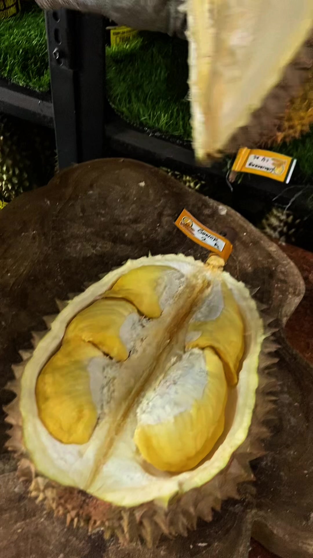 @CICIP DURIAN