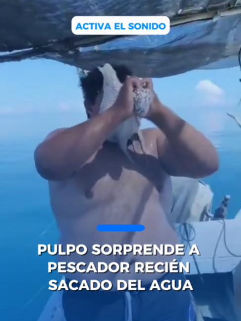 @Periódico El Mexicano