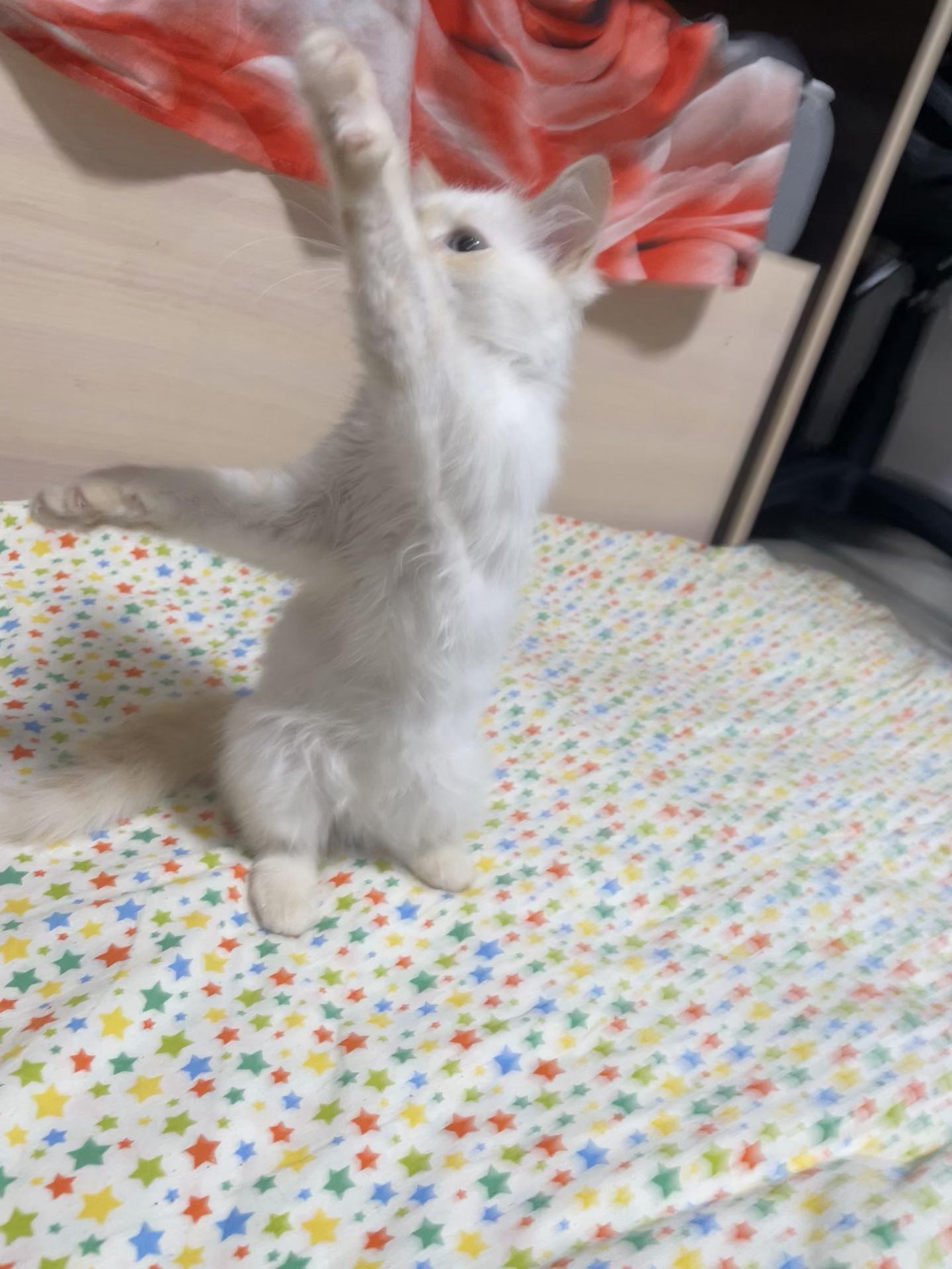@mifka_huifka