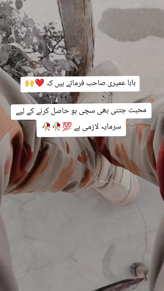 @من جانباز 💪🇵🇰