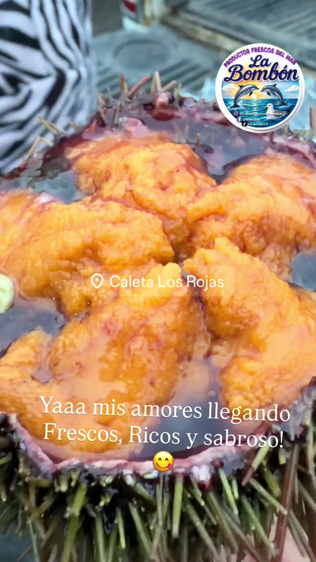 @la_bombon