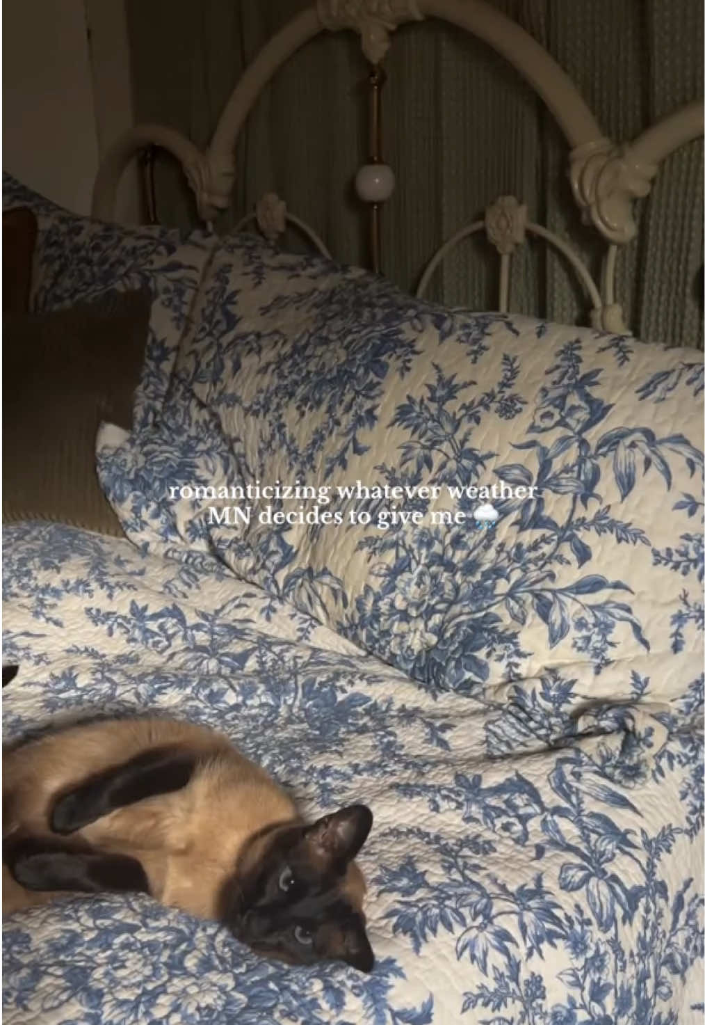 @๐๐๐๐๐๐ | cozy living