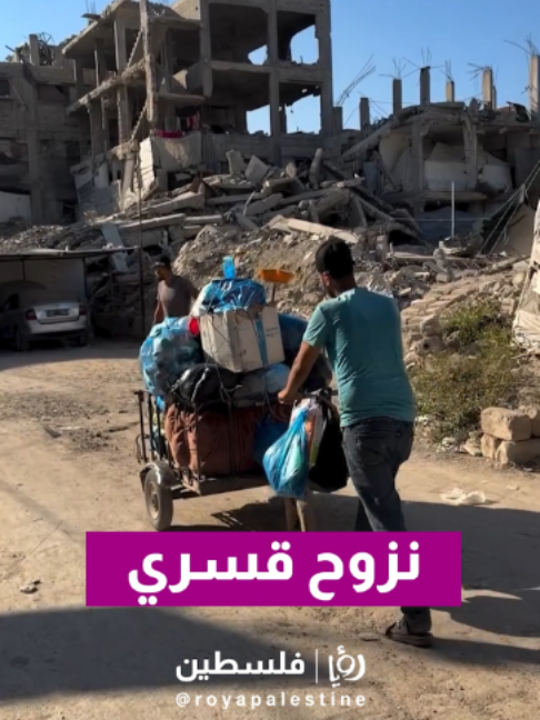 @Royapalestine رؤيا فلسطين