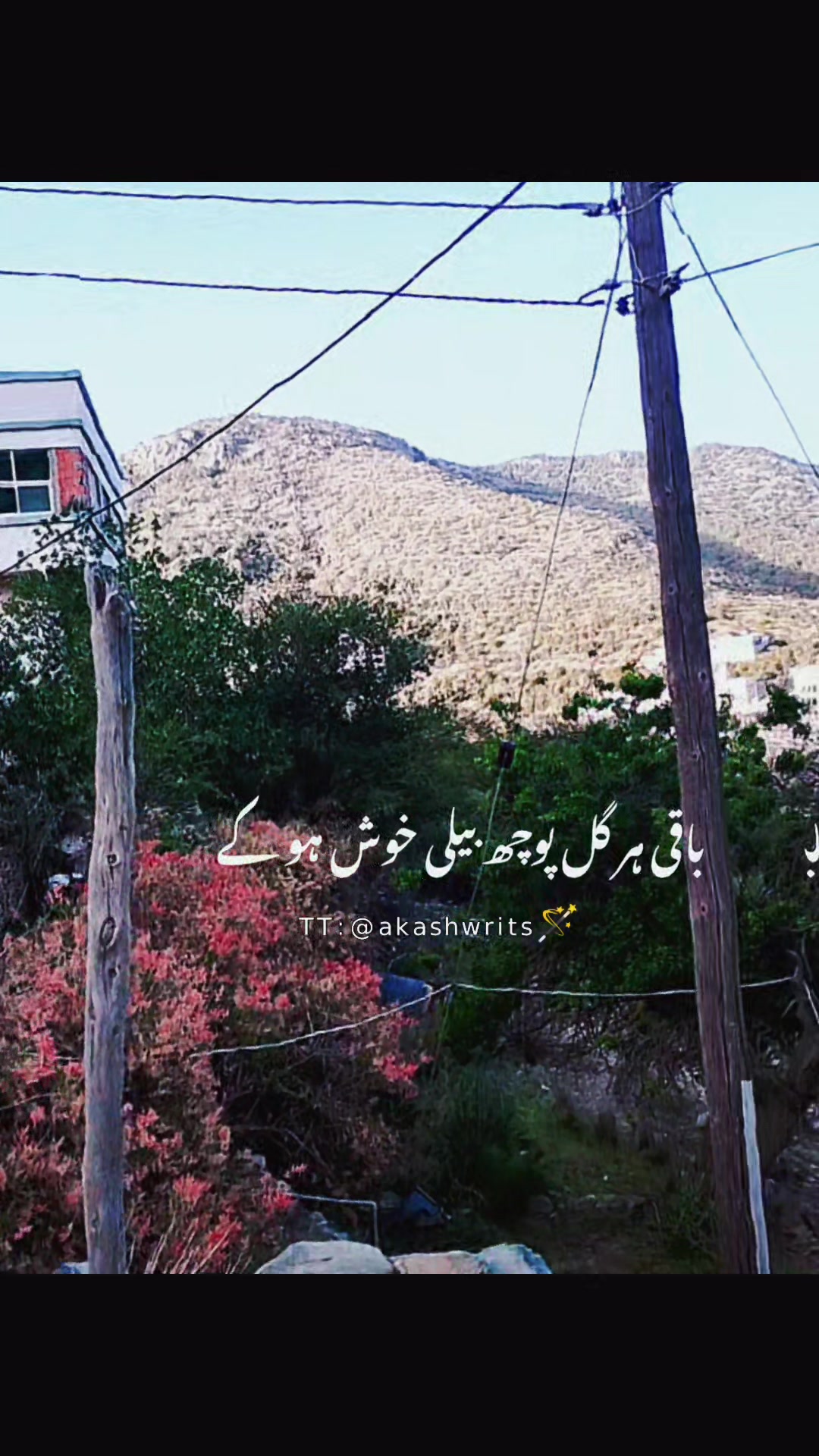 @Ajaz Mughal