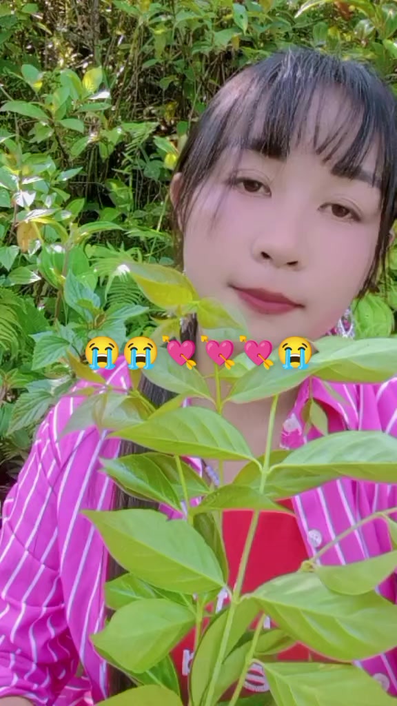 @xav yaj ntshis mus ưa av