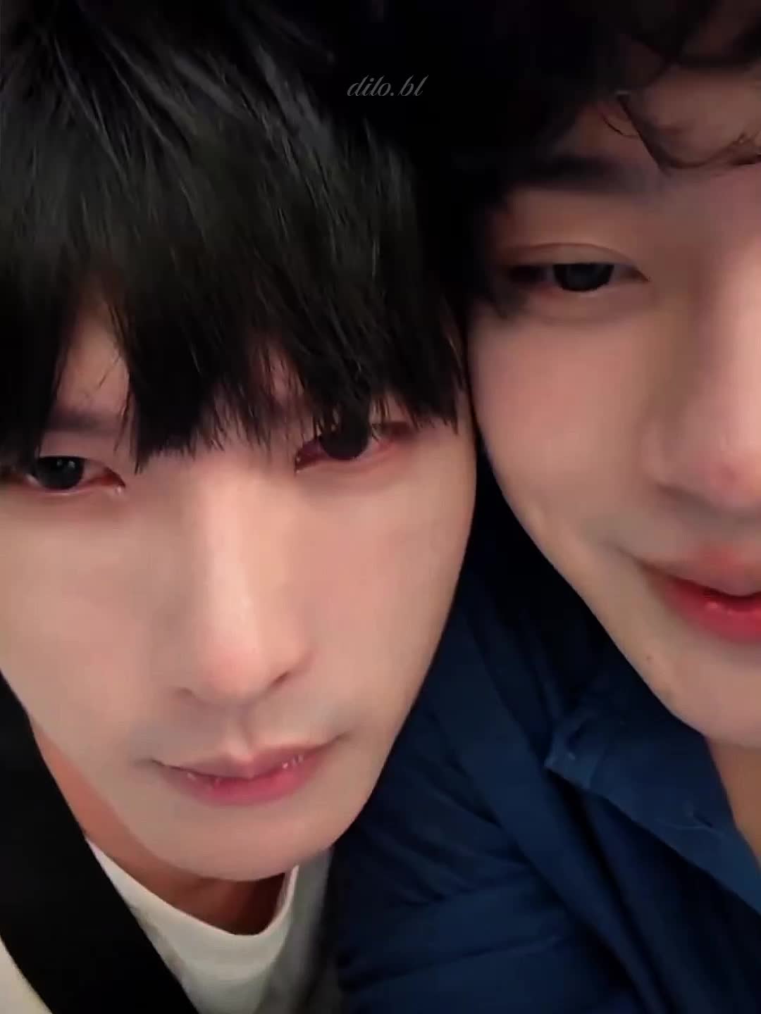 @𝙙𝙞𝙡𝙤🧸
