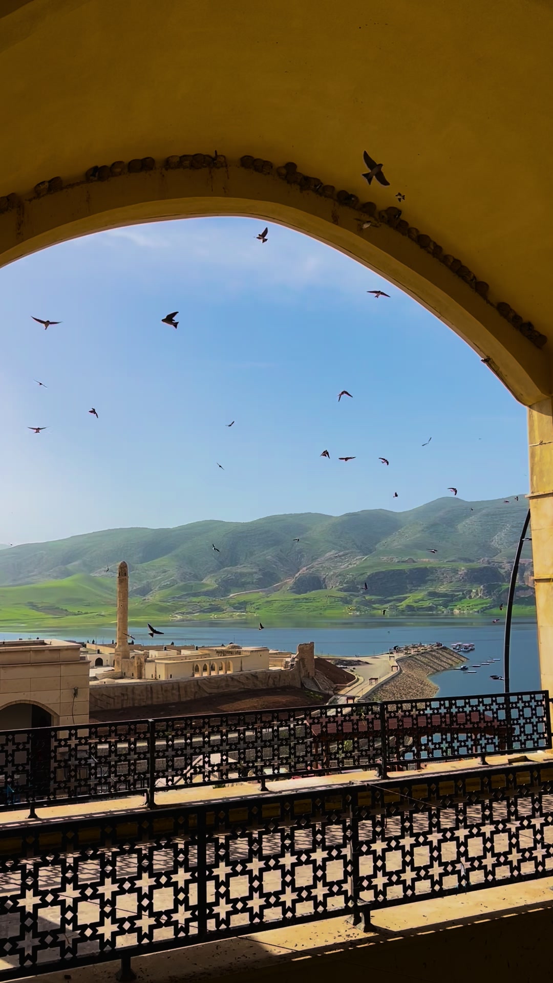 @mustafaakbel7