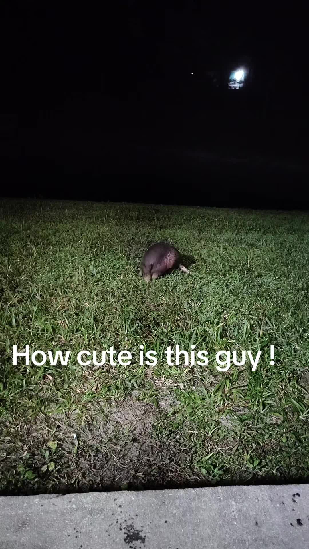 @GinnCats420
