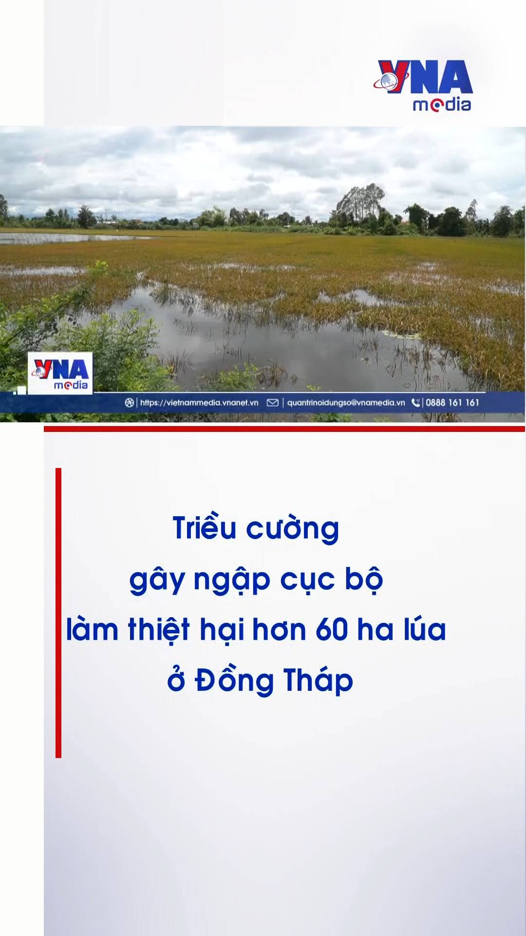 @Nội dung số và Truyền thông