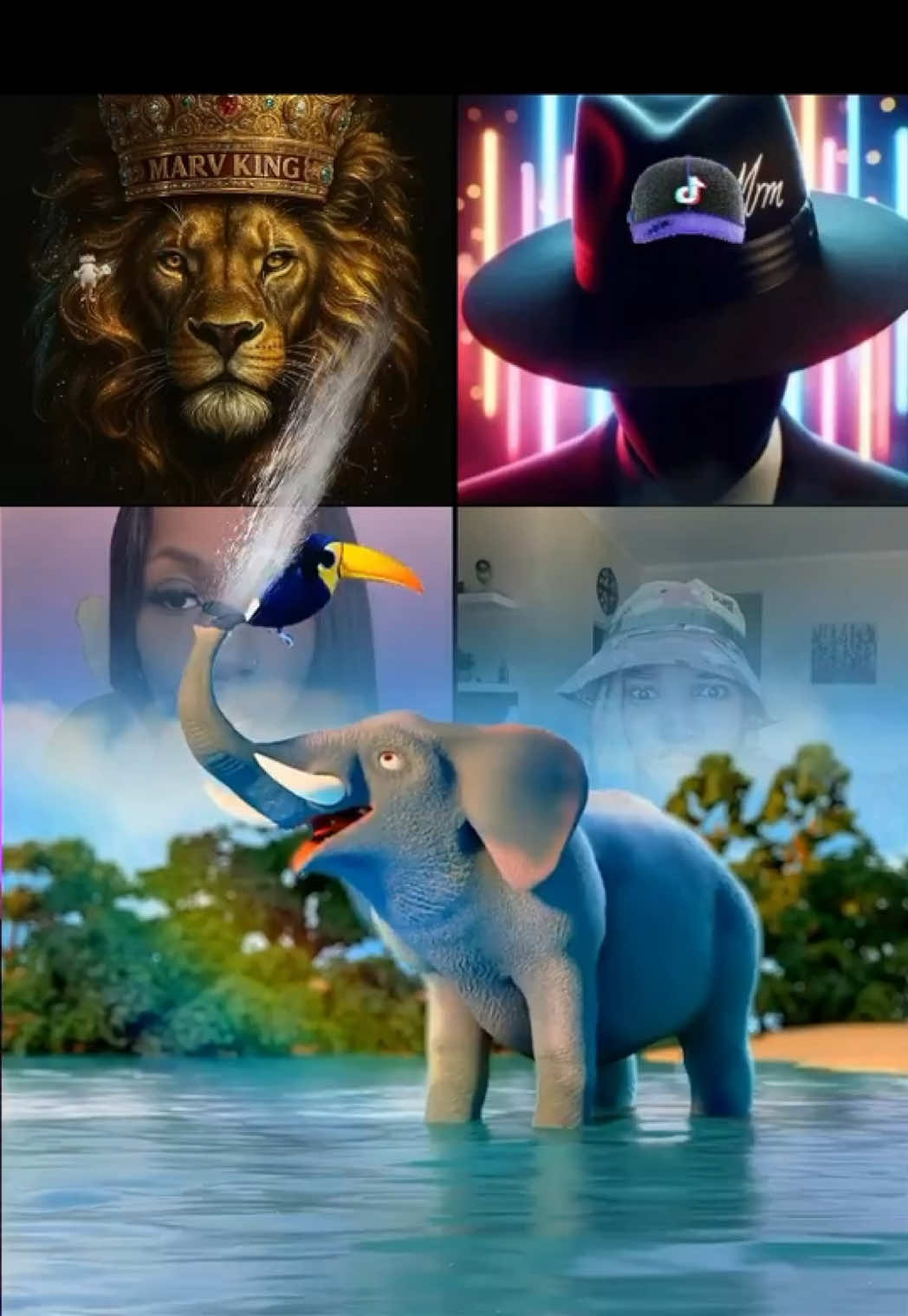 @𝕄𝕒𝕣𝕧.𝕂𝕚𝕟𝕘 🛖 👑
