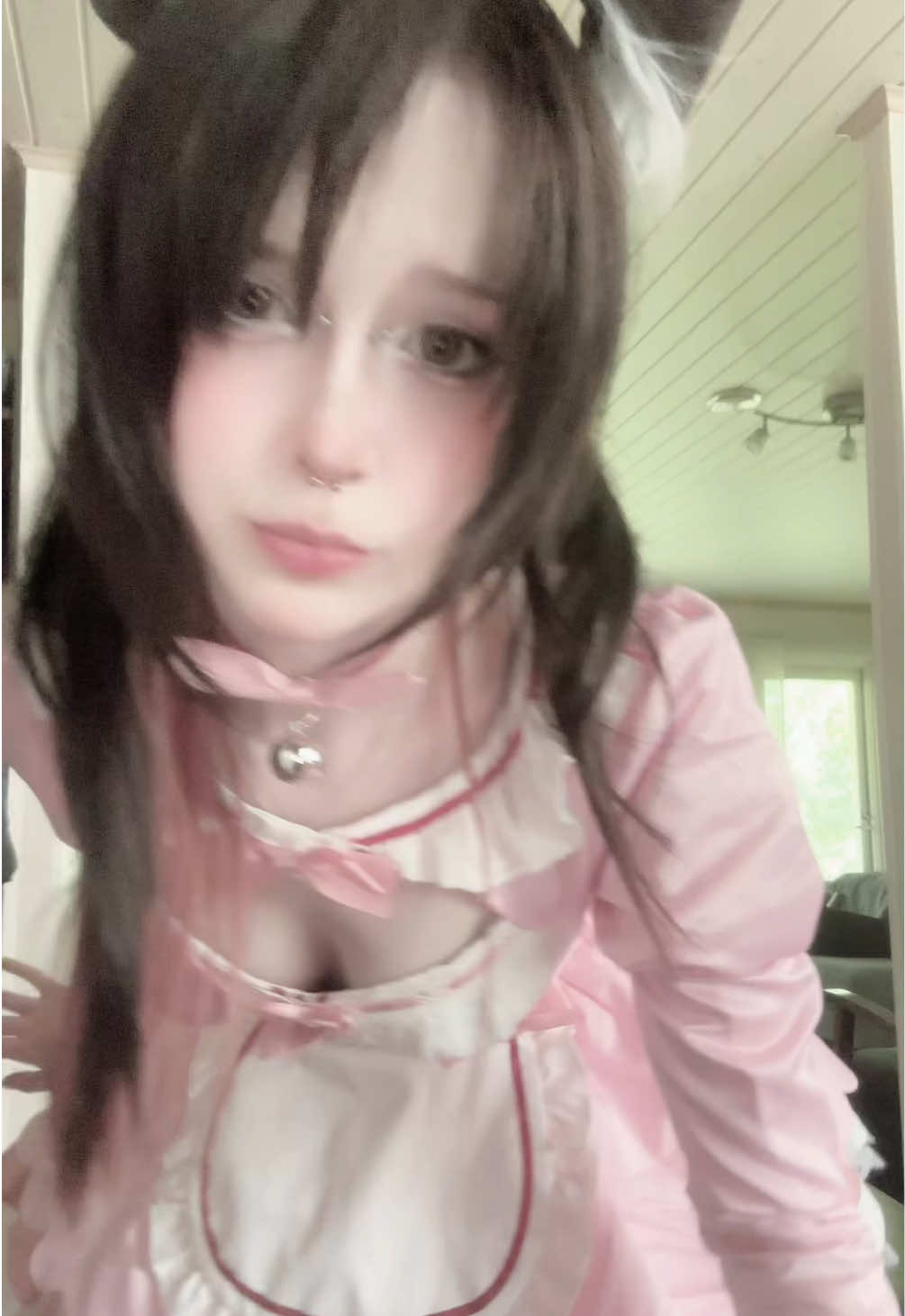 @kapinakissa
