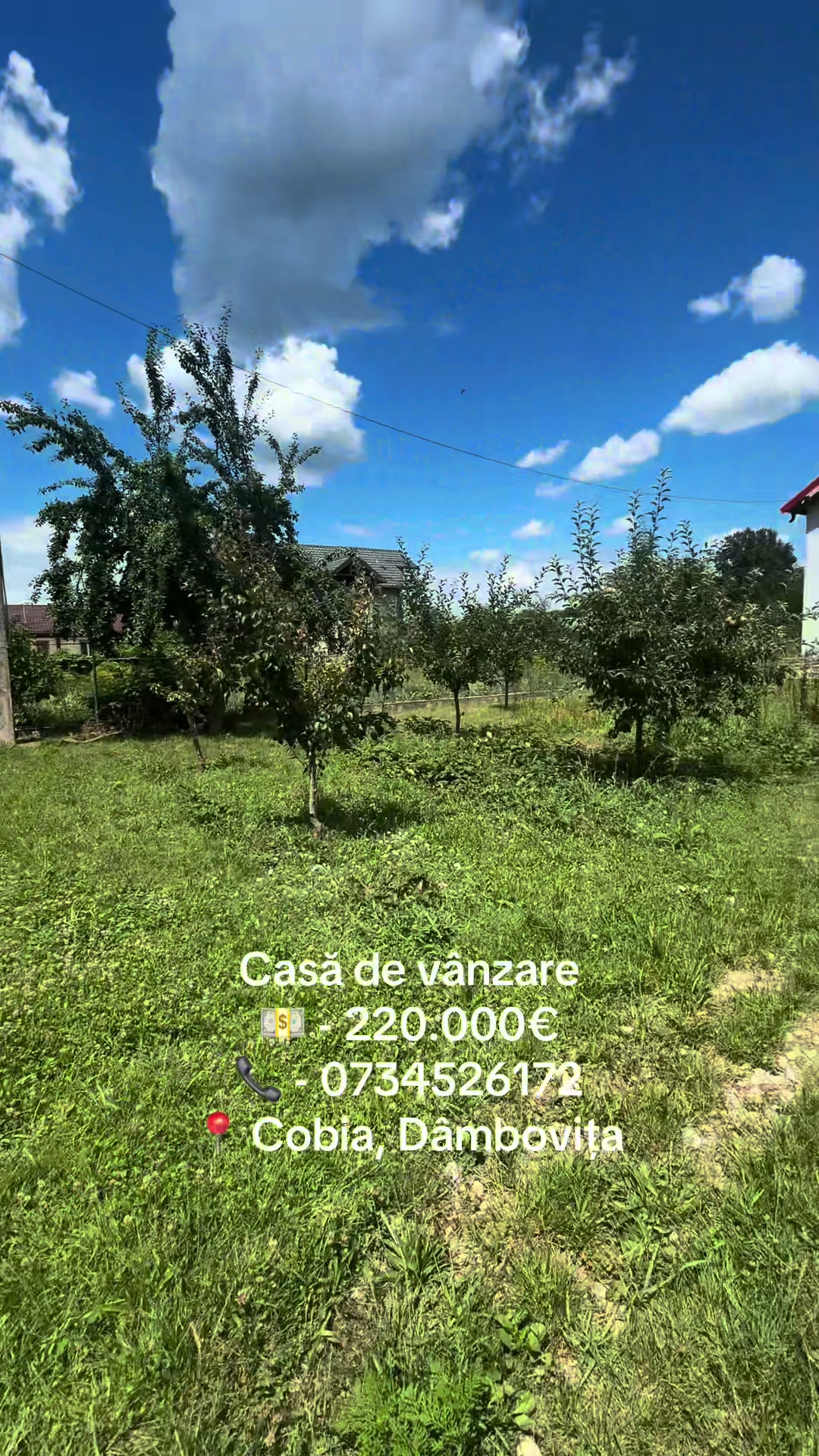 @Beatrice Imobiliare de Lux