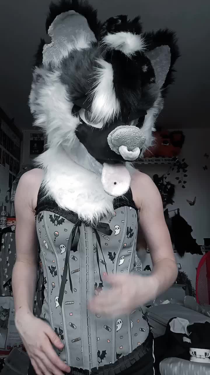 @~•°VixyPixy°•~