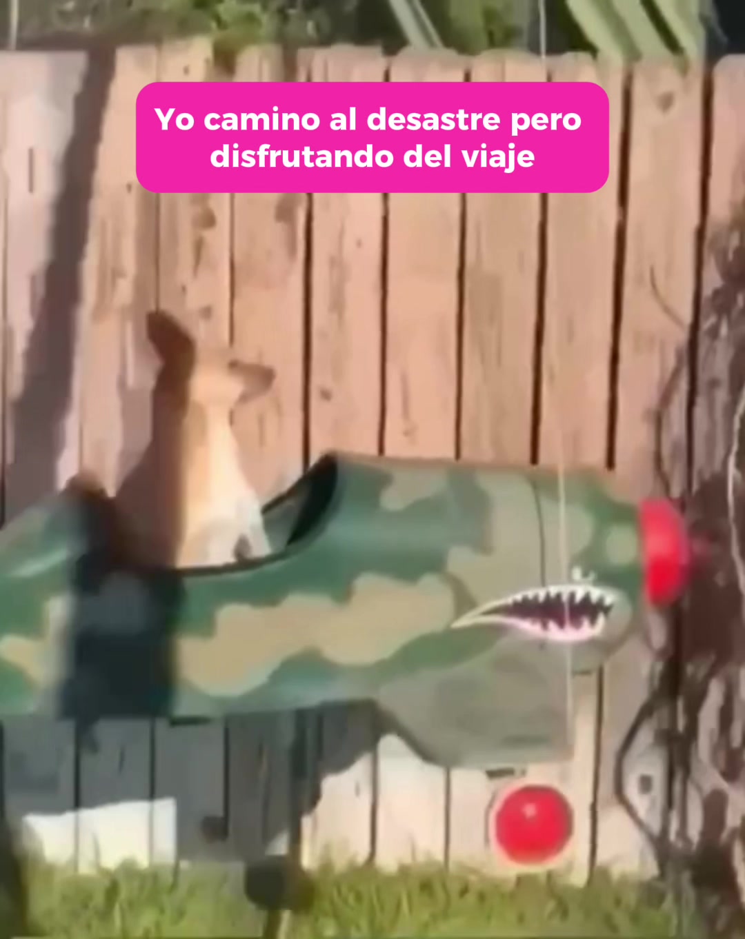 @Cabronazi
