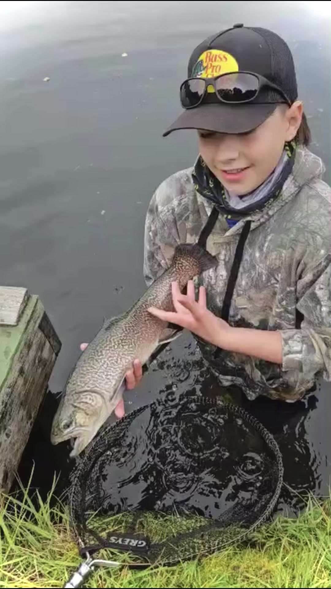@alfie_fishes_