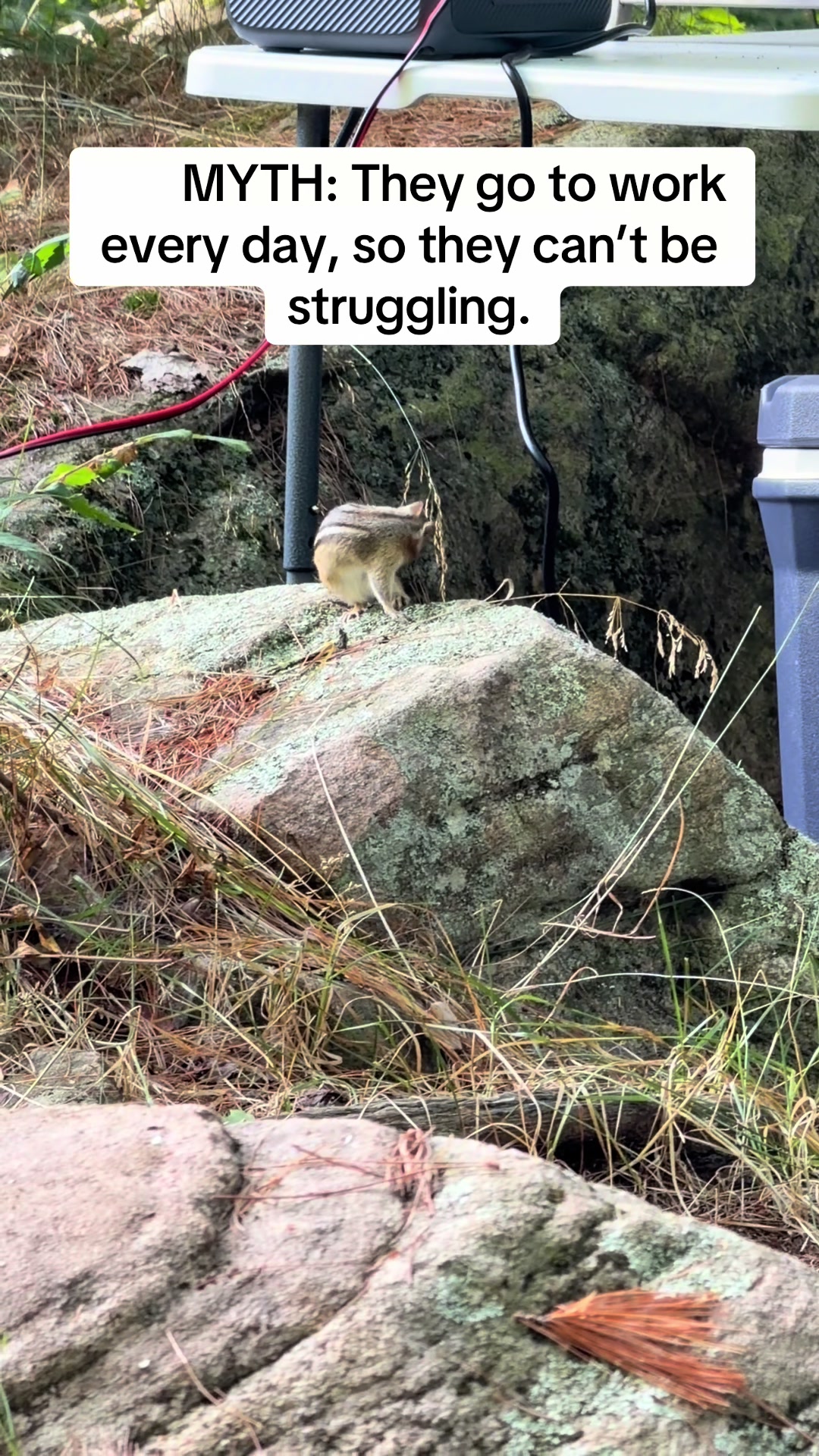 @💕𝕁𝔼𝔸ℕℕ𝕀𝔼 🇨🇦