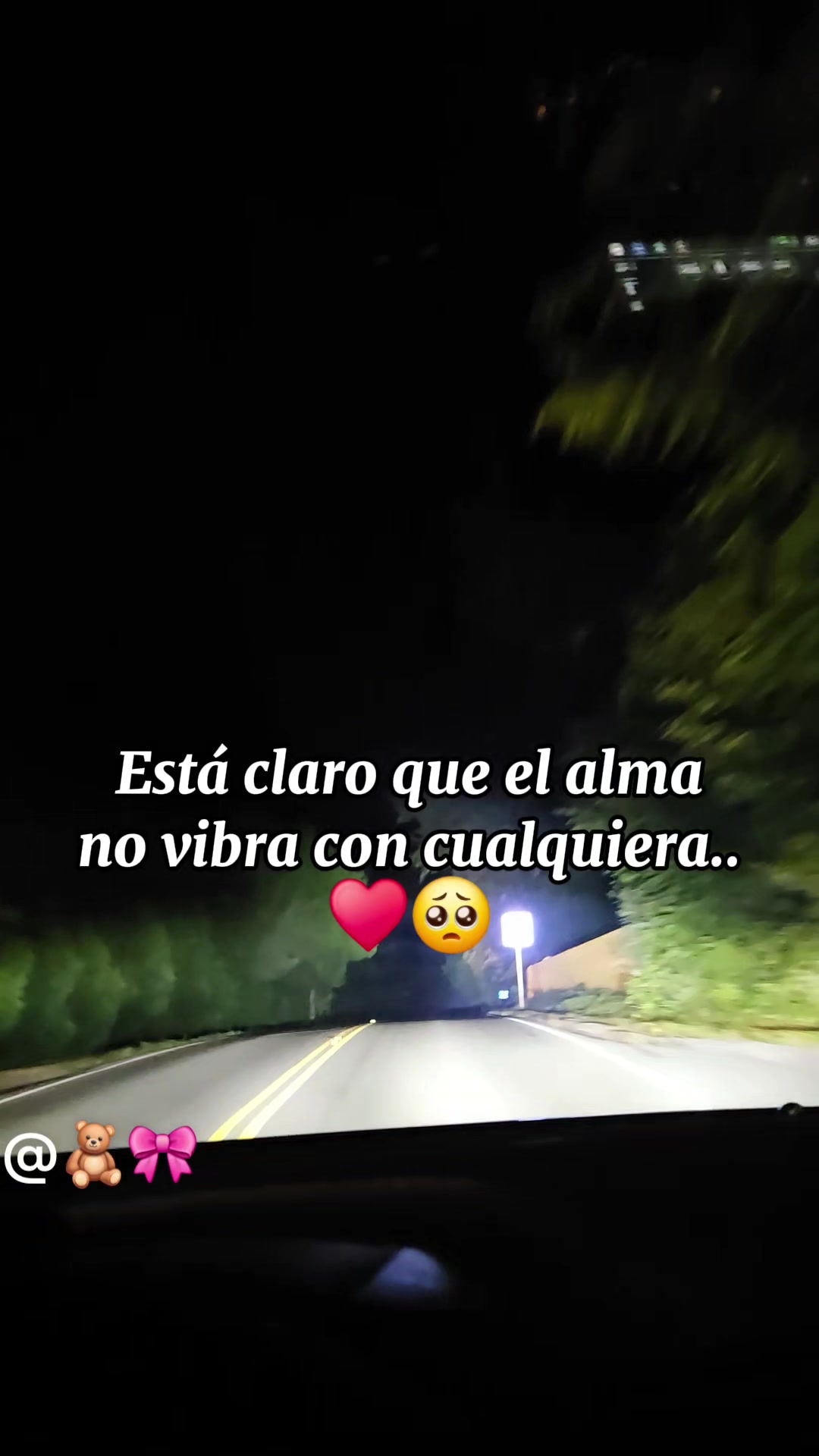 @🎀🧸Mt🧸🎀