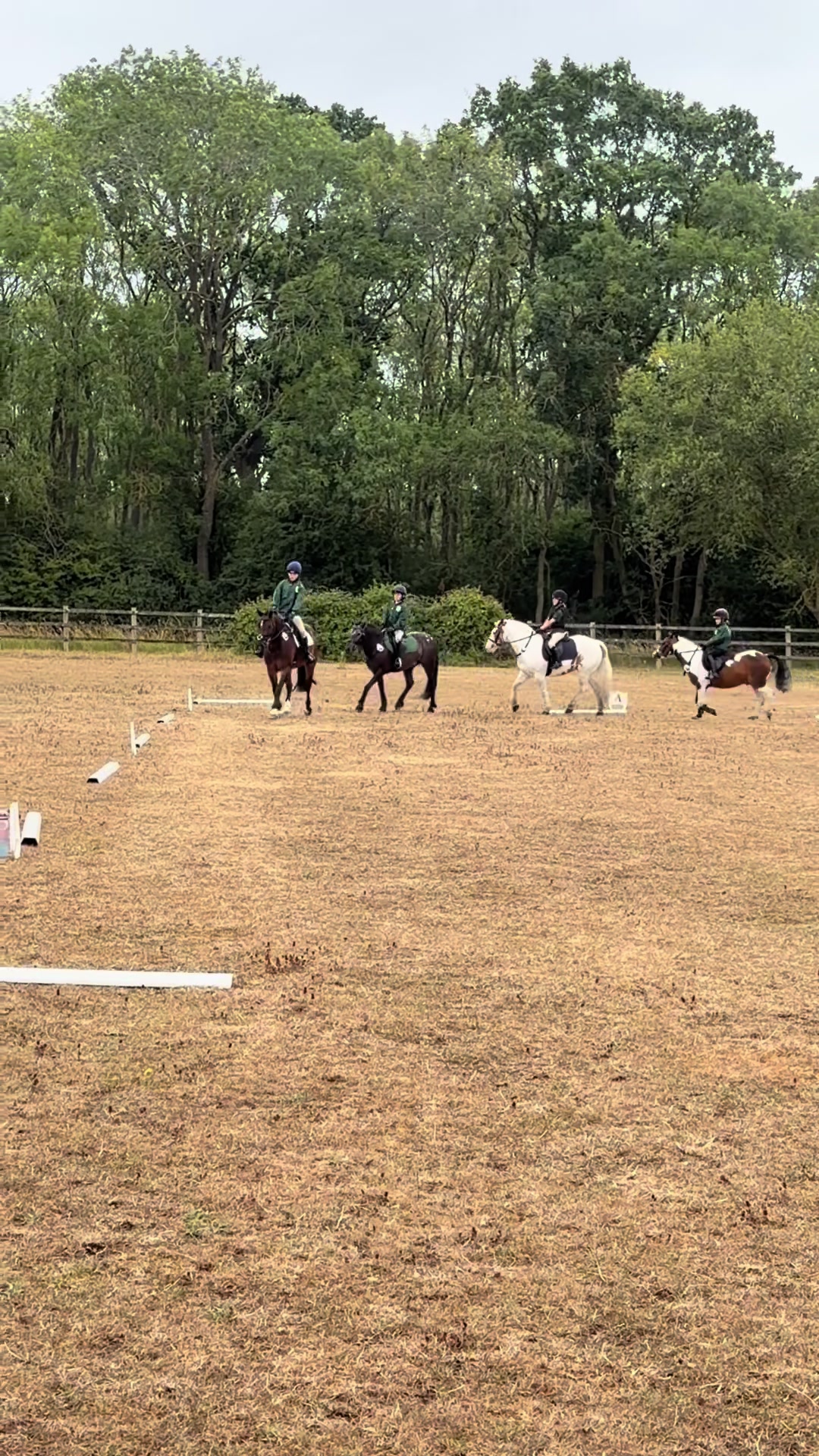 @Nina&rsquo;s Pony Adventures ❤️