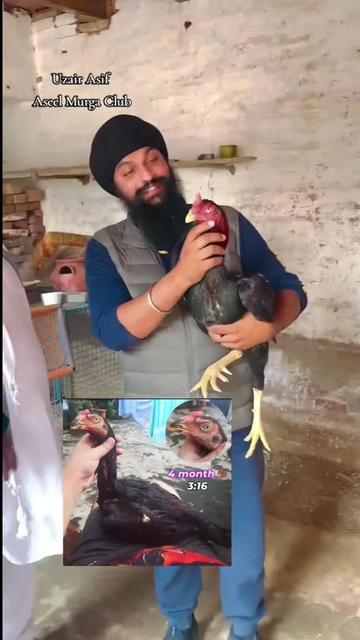 @Harinder Rajput 🇮🇳