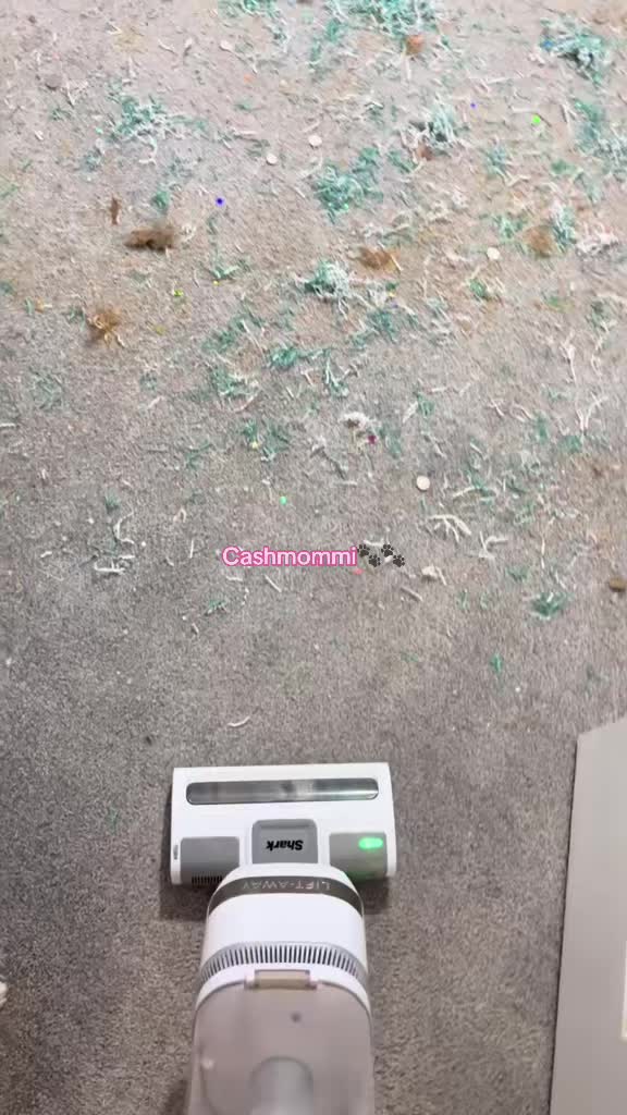 @CashmommiVacs