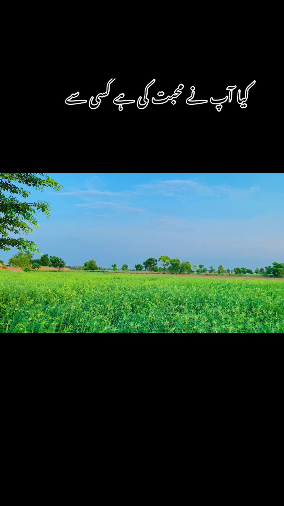 @پنجاب زادہ🌿