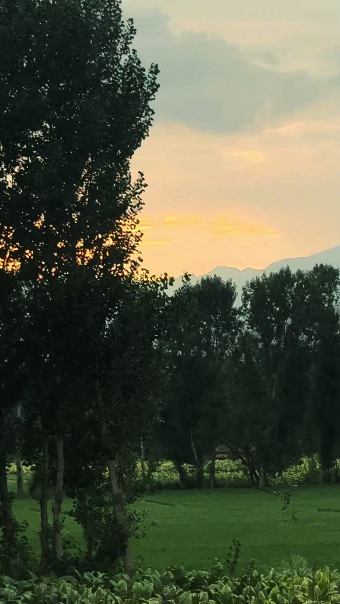 @🍁غنی خان🍁
