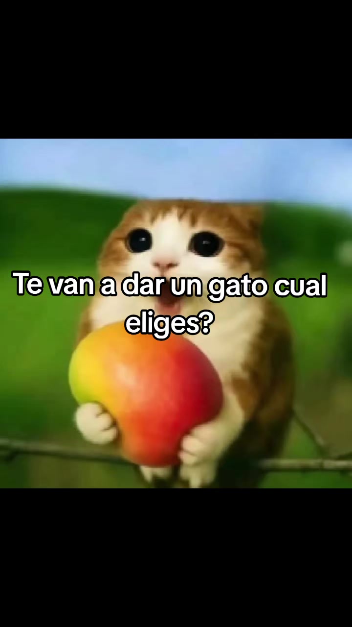 @Jeremyy João❤️