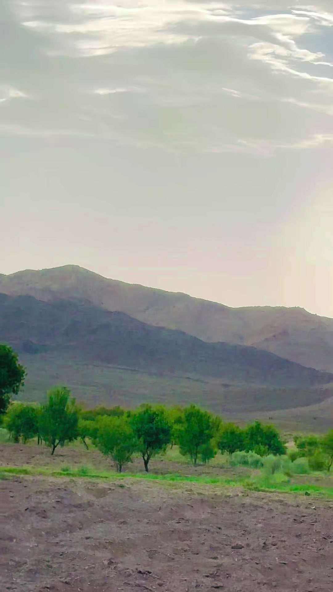 @عمران افغان🇦🇫💫
