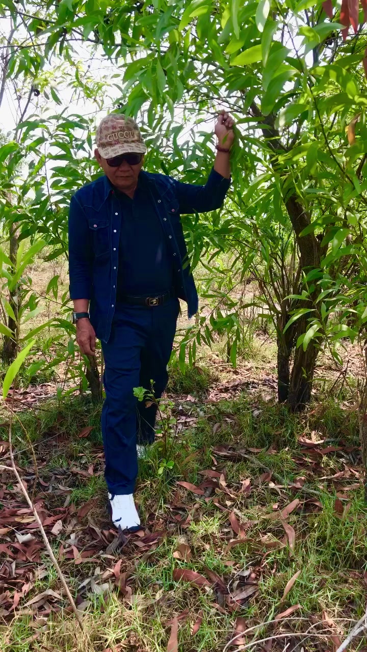 @ឥន្ទ្រីសលំហរវេហារ